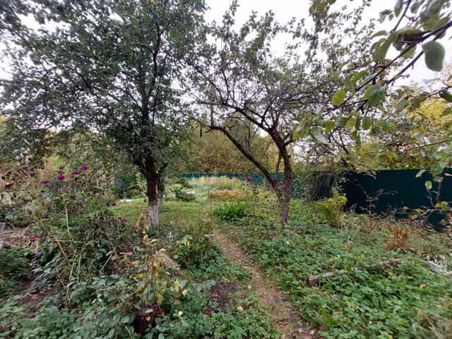 ���������� ���, �������-��������� �-�, � ���������� �����, �� ������, 13